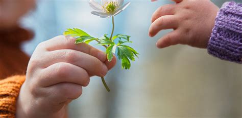 teaching kids about philanthropy|Giving the gift of giving: why children should be taught philanthropy.